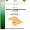 Proyecto manejo integral de residuos sólidos Valle de Sensenti 2012